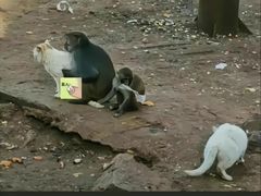 -昆明动物园