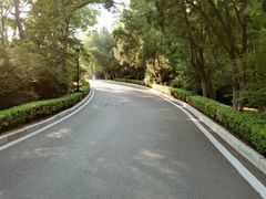 -棒棰岛宾馆景区