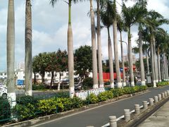 -皇马假日醉海南大酒店·假日一品派茶楼(秀英店)