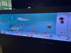 -刘成杰锦州烧烤(南河路店)