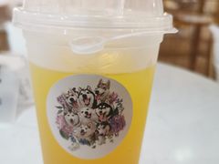 -Husky Go! 哈士奇体验馆·宠物咖啡厅狗咖