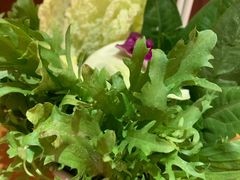 -新凯里酸汤鱼(飞山街店)
