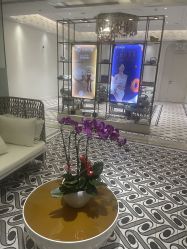 -美丽田园