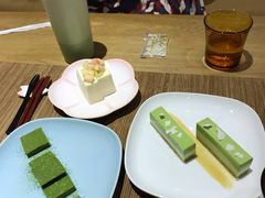 -柴务处·柴犬主题狗咖