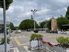 -胜华驾校·小猫学车(银都店)