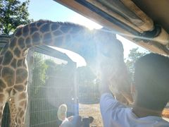 -清迈夜间动物园