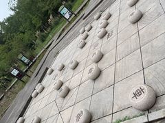 -合肥滨湖国家森林公园