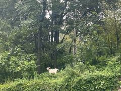 -终南山南五台景区