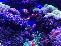 -多彩贵州城极地海洋世界