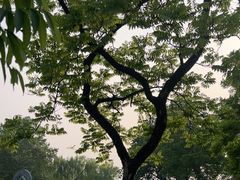 -西湖天地
