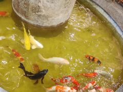 -古莲·影院足道·按摩SPA(水上温泉店)