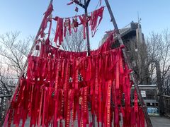 -帽儿山国家森林公园