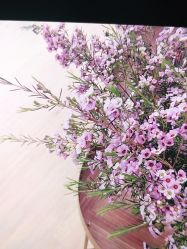 -盼兮·日式美睫沙龙