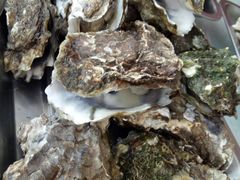 -渔民船说·北塘海鲜·天津菜·海肠捞饭(北塘古镇店)