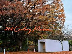 -金泽21世纪美术馆