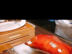 -上海和平饭店龙凤厅 Dragon Phoenix