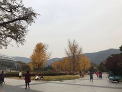 -北京植物园-展览温室