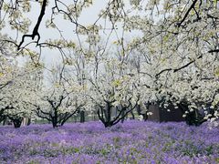 -江苏三台山国家森林公园