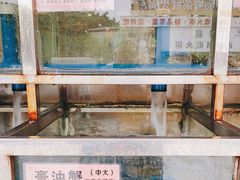 -宏佳丰味蟹馆(洛溪店)