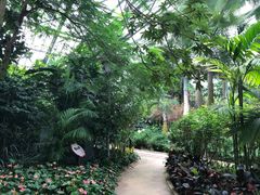 -南山植物园