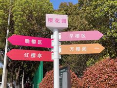 -高东镇樱花园