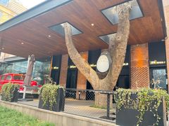 -西安电影制片厂