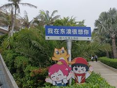 -东澳岛