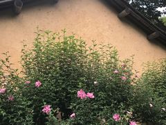 -法云安缦酒店