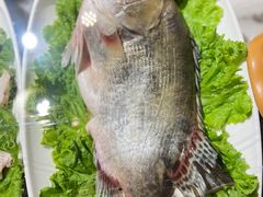 -龙泉小镇(科圣路店)