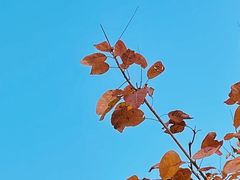 -朝阳公园