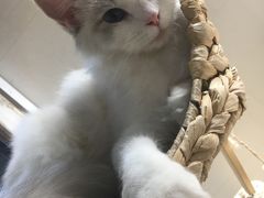 -小时光咖啡馆(开森度假森林店)