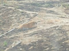 -新疆天山野生动物园