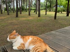 -长春净月潭风景名胜区