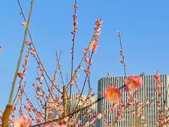 -大宁公园