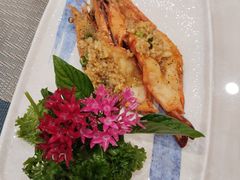 -樱の千渡日式料理·铁板烧•烧鸟(金盛田广场店)