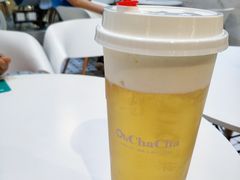 -噢茶茶Oh Cha Cha