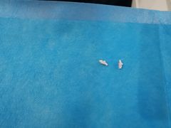 -美迦爱-牙专科·兔科·骨科诊疗中心(北苑店)