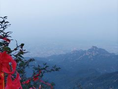 -泰山风景名胜区