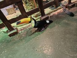 -Zoolung Zoolung动物主题公园(海信广场店)