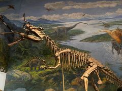 -自贡恐龙博物馆