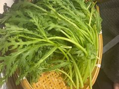 -生活如沸·顺德水牛奶火锅(大学路店)