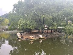 -黔灵山公园