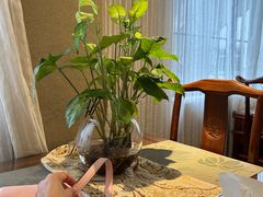 -岭南故事·影院足道SPA·石岐店