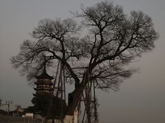 -观潮胜地公园