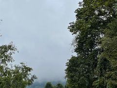 -野象谷景区