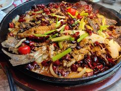 -老板恋上鱼(恒隆广场店)