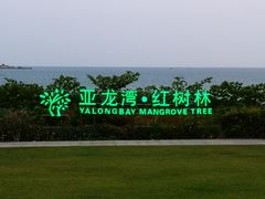 -三亚亚龙湾红树林度假酒店