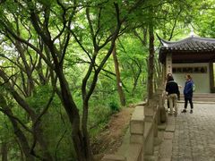 -灵岩山风景区