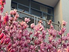 -东南大学(九龙湖校区)