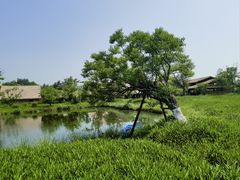-良渚古城遗址公园
